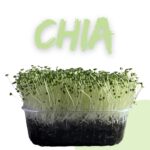 Chia Helmet