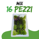 MIX 16 PEZZI